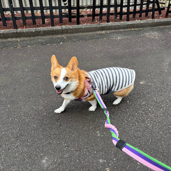 19a3652b 7e4b 4f36 b014 cce4dc8027bf 1762314679180