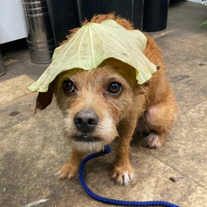 19a3a973 094d 40ee 861c 6cd7c323926b 1628913237617