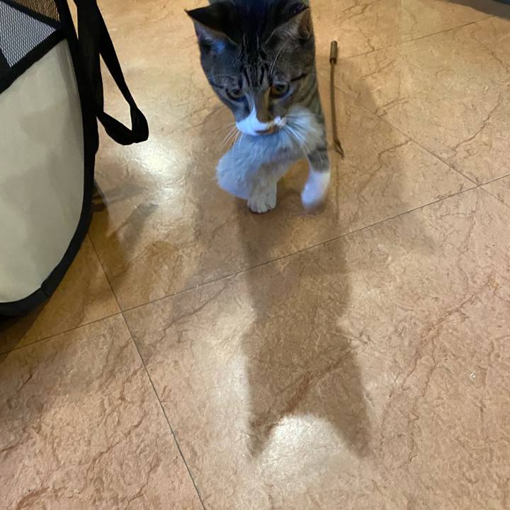 19a3bd7c e629 4127 9de6 f4c526a150b5 1637828431645