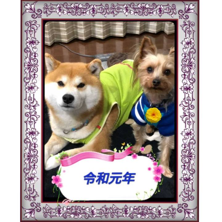 19a3bfa6 89c6 46b1 8193 97543973b332 1556688473659