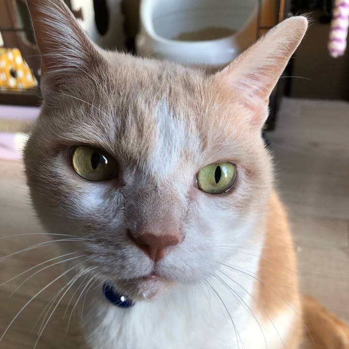 19a420fb e62c 4657 88d4 591adf5a0160 1518995826528