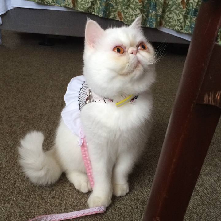 19a42c96 98f6 43fd 9690 91931a34160e 1660380273114