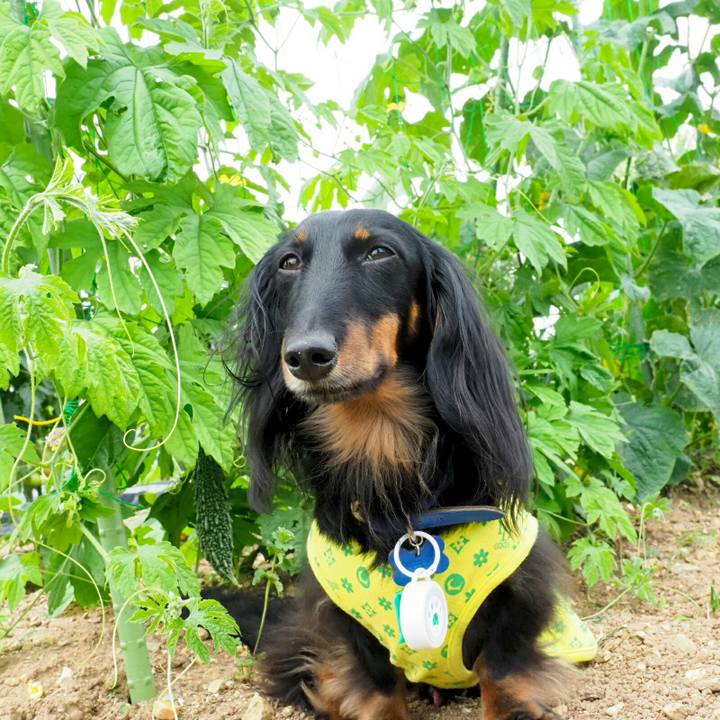 19a4364d 21f6 4939 b21f cd9ea4b6af2f 1529375256550