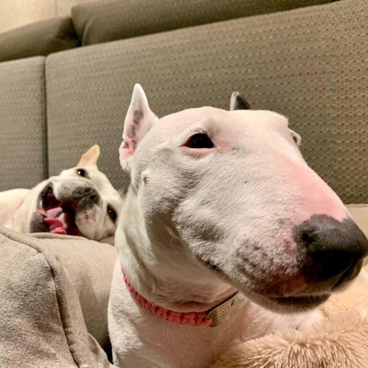 19a4b5fb 5766 414c 87e3 0c3877f1437c 1585579500763