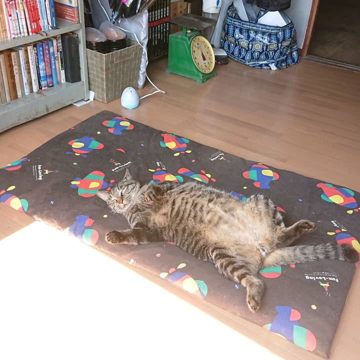 19a50baa 5dec 41c6 99c1 bfc11adf3650 1663295874116