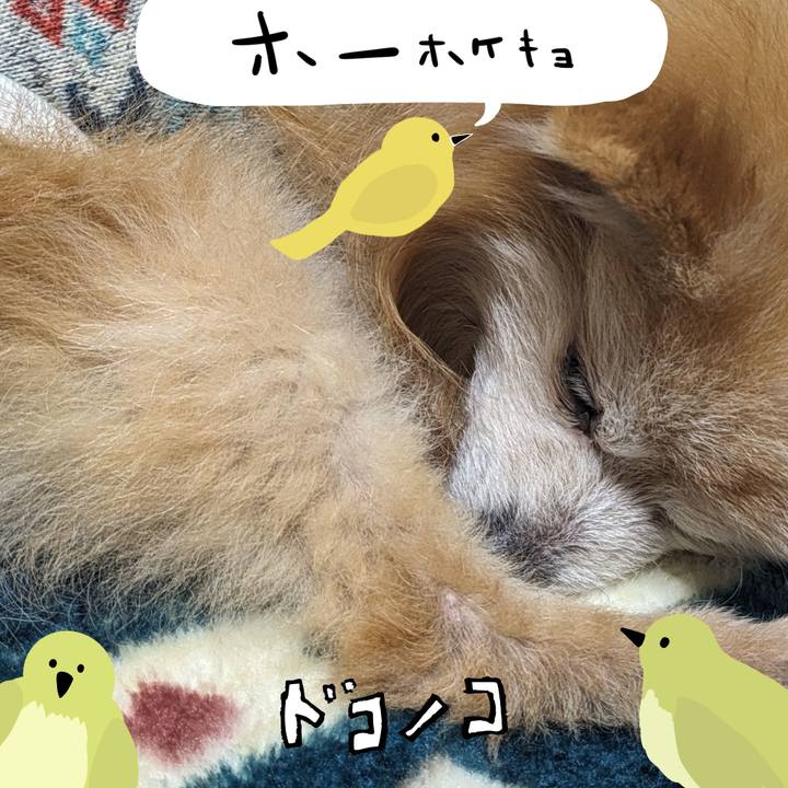 19a53797 6518 44dd 82e2 dbba18d6acff 1711252442829