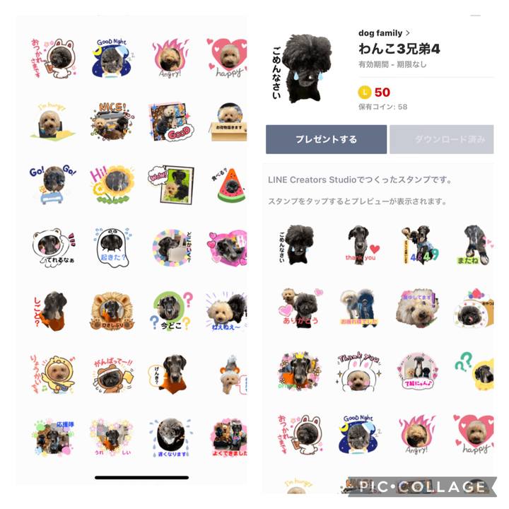 19a546e2 4aff 478c 978c e22da0eabe69 1613029698143