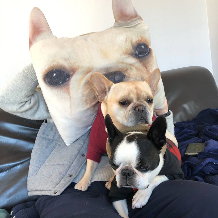 19a560cb 01f2 4c50 89a4 6616e1a33d52 1577709864888