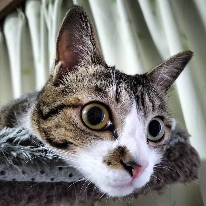 19a5875f 59ad 46de b638 c1a255ea4795 1693949555605