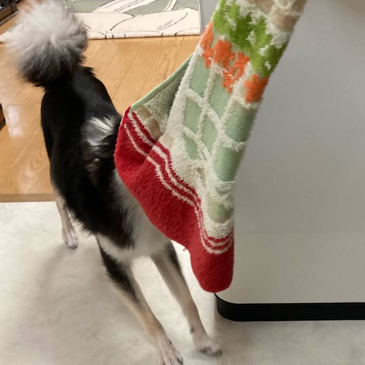 19a5d494 ce11 4a7c a0d2 eaec84265bed 1628865048557