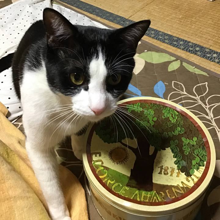 19a5e288 7f33 44f3 8690 af19338e0934 1652262739135