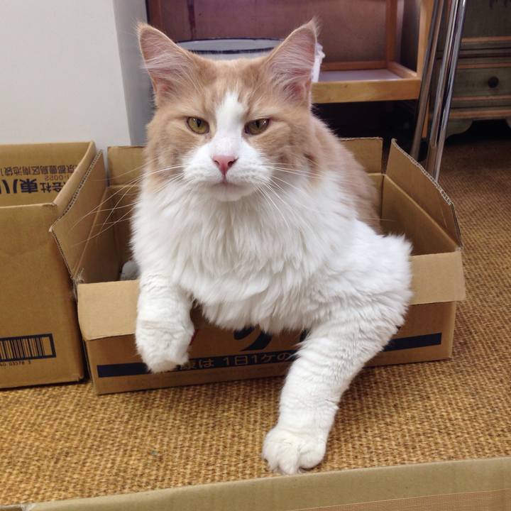 19a60297 cd24 42c3 929c f2bb73d30abd 1527820088113