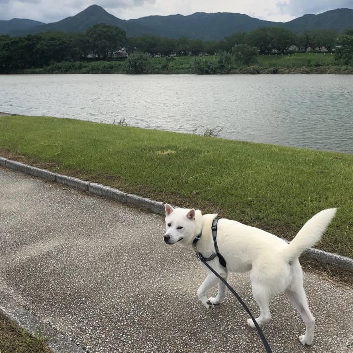 19a63ec1 374e 4410 a26d 590068b9b010 1594635398692