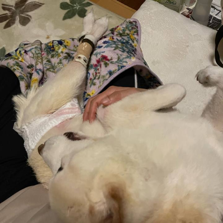 19a664f5 b7e9 4cb8 9a14 e3176c218a7c 1674148894163