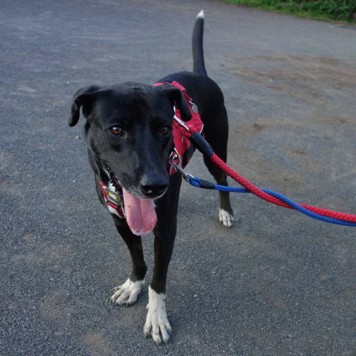 19a672ca 3198 4a83 8d54 523bf790f374 1592390224774