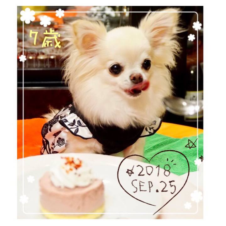 19a672dd bd45 4668 9426 086883a1d2e5 1537867224944