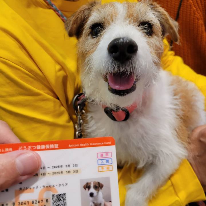 19a67620 2db6 43a3 a427 05eb7a741d34 1728553203461