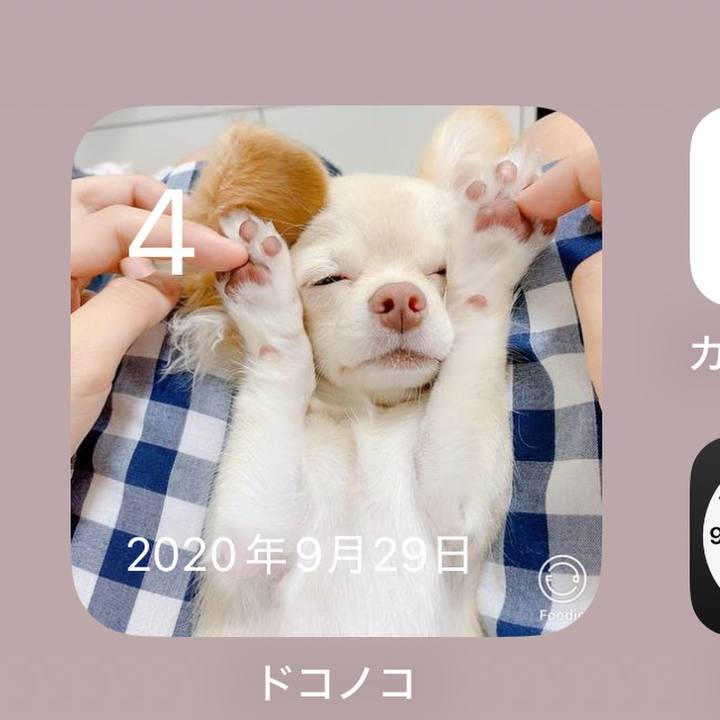 19a69a13 cb5c 462f b2b4 3c2b0475ce1b 1759585187352