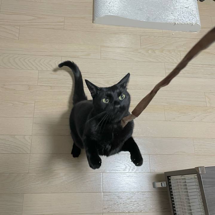 19a6b595 fdc8 4cdc 8c16 9e42b46e6a74 1671018131707