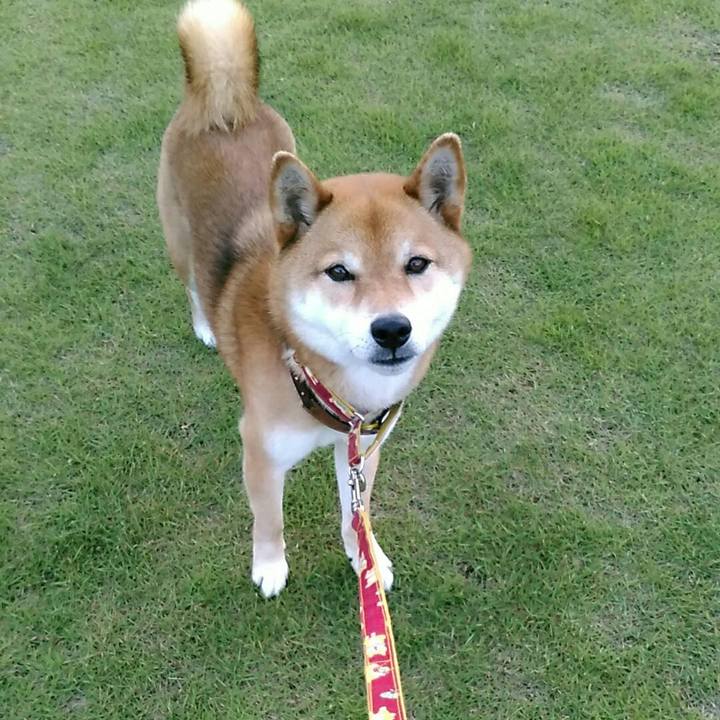 19a6da65 b639 4c83 a239 c8a9c7f2be32 1558519102366