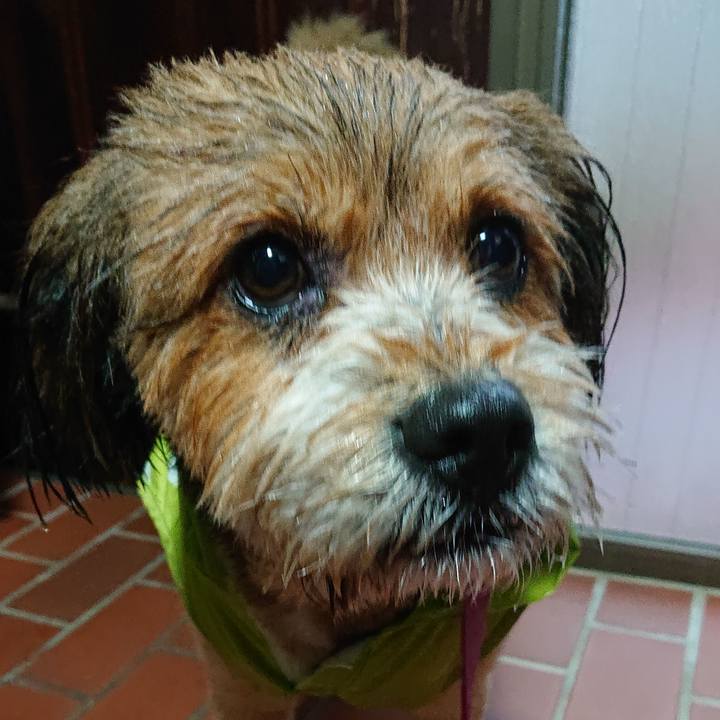 19a7459e 6fe3 4594 b89c b99e1c8ec425 1561586973826