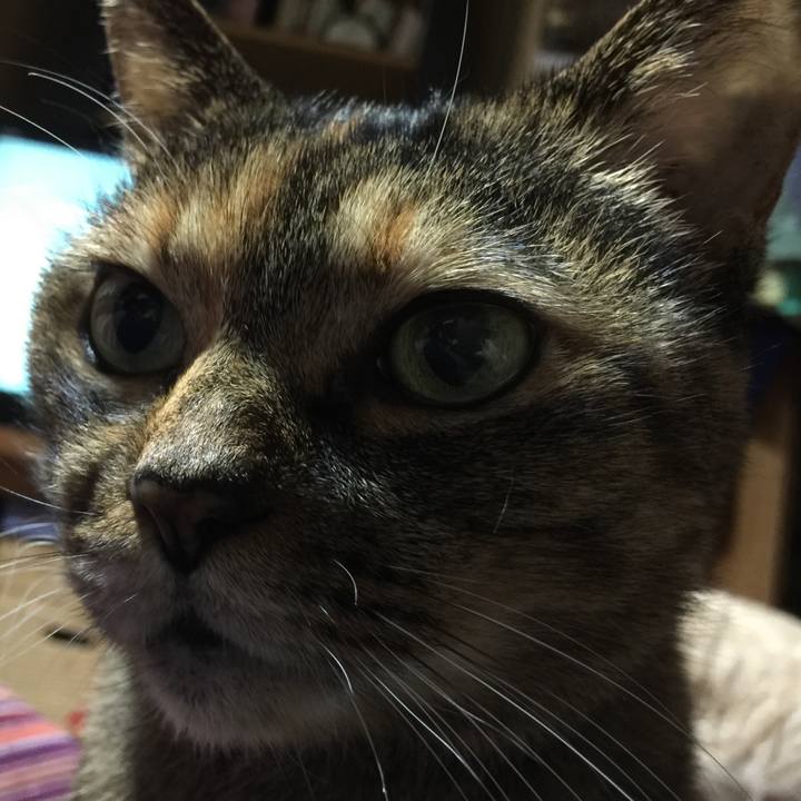 19a79105 81a8 4dad a3bc 0bc75b5d5489 1543497376199