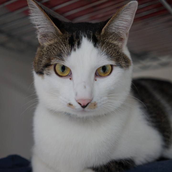 19a7b434 c85a 4bf8 8cca 2dac31398447 1510977372890