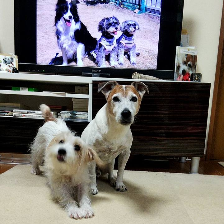 19a83f57 637b 44d0 a523 1ceb959f3350 1574725274562