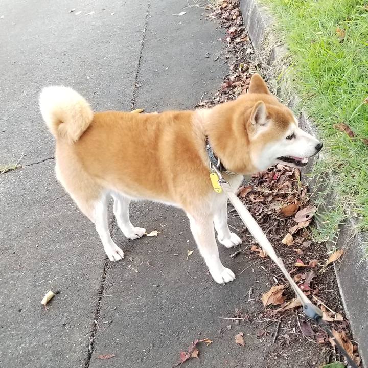 19a850d8 bd63 45ce 9df3 24bf59c443c2 1632384921970