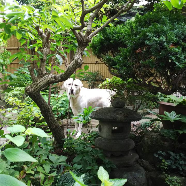 19a8a693 90a6 47d8 adcb 22094b0fae68 1532677045546