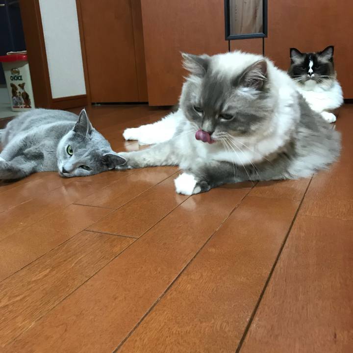 19a8a8fd abe1 4658 8da5 ceddc47b44cf 1531913557146