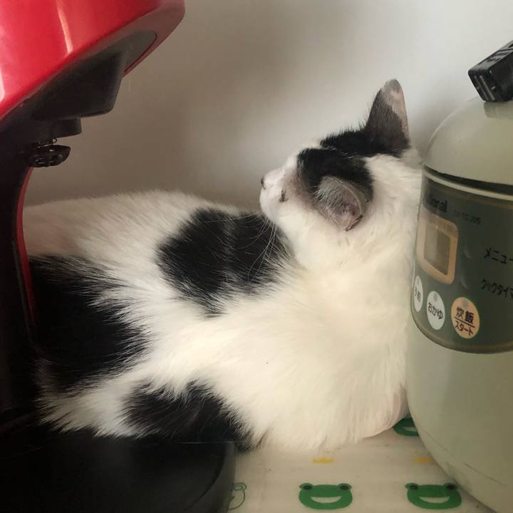 19a97753 f349 4db1 a4b9 d6daed041c97 1593387983720