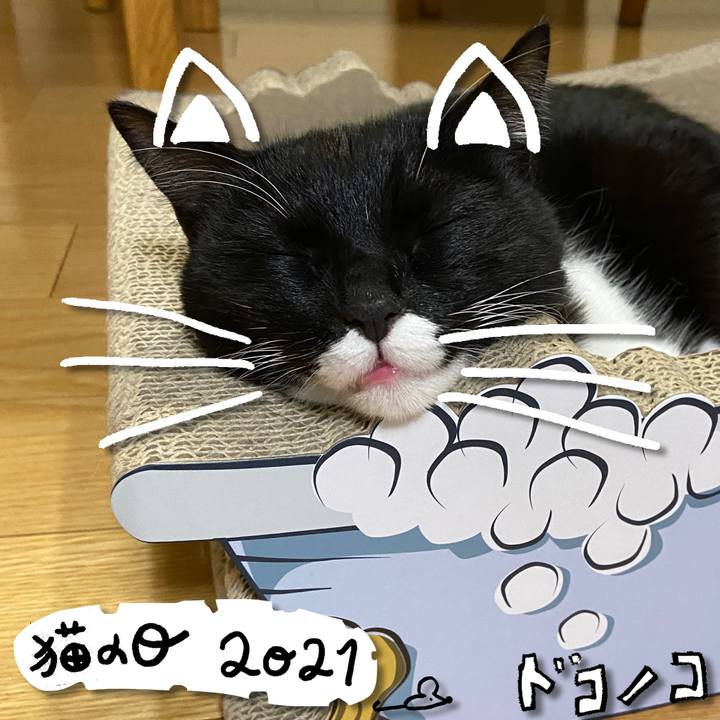 19a986b0 9c9e 4dda b9c9 f606ab100163 1614003695573