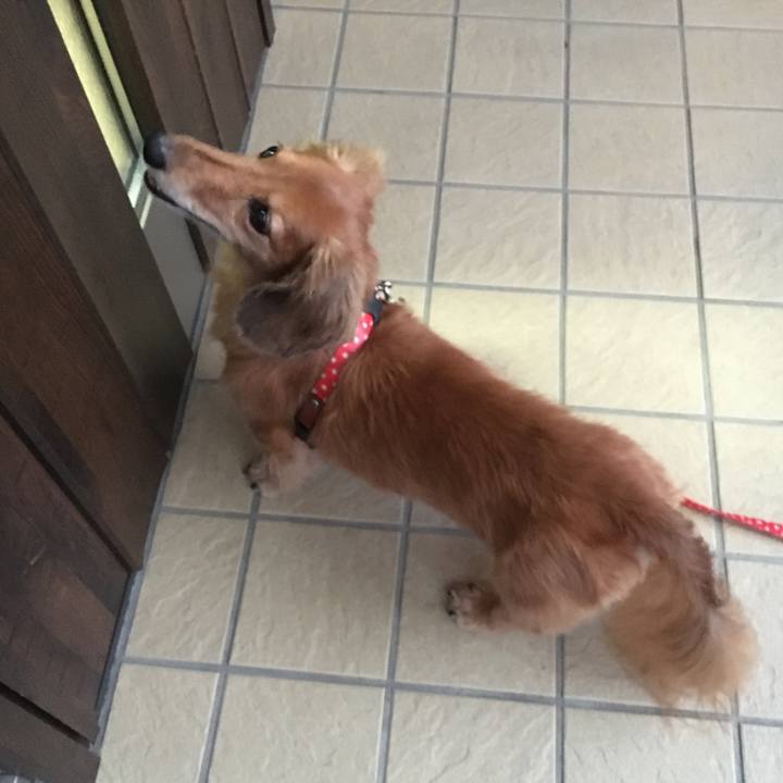 19a98910 ec43 44fd 9bd8 4f6bfaa67688 1596366925096