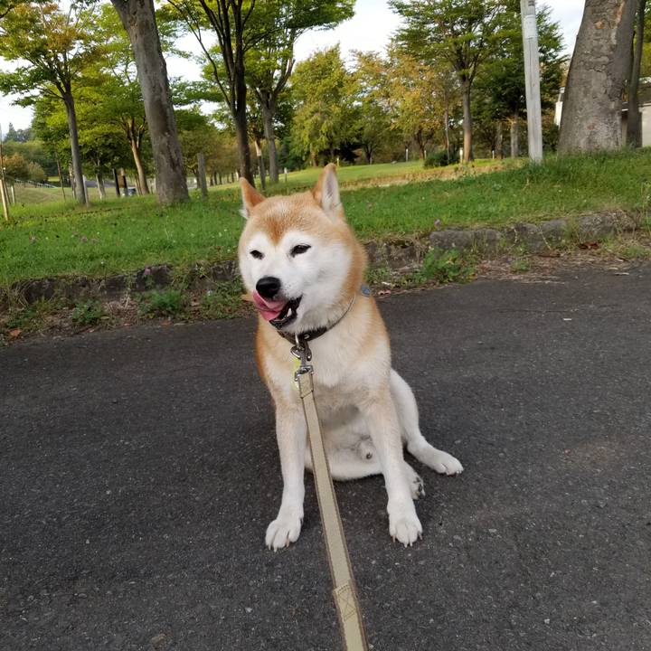 19a9d034 1376 415c b46b 1100b8953617 1662970435439