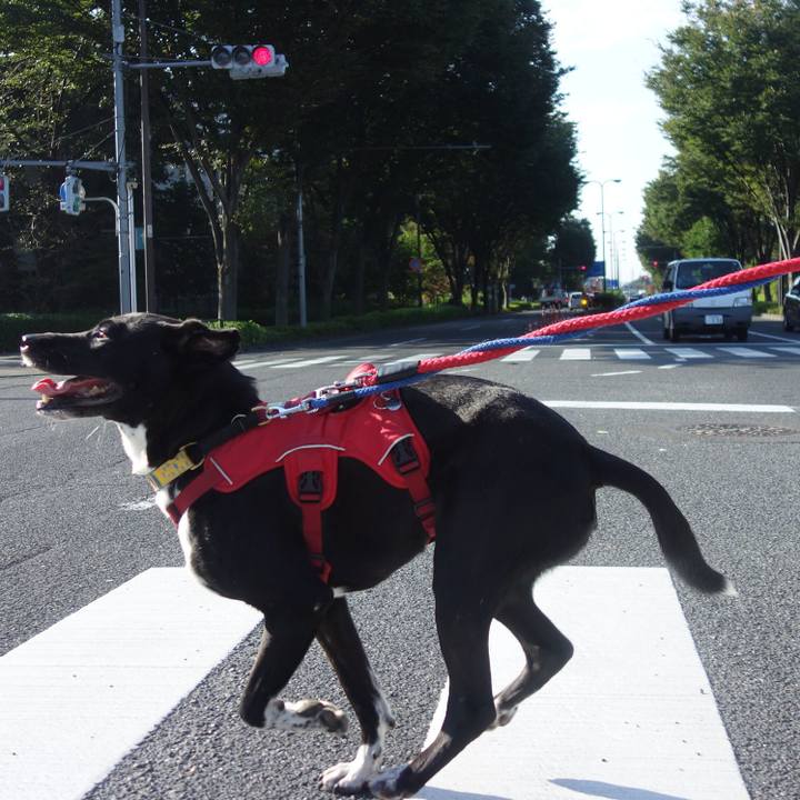 19a9f3d5 9922 4ec6 93f1 5ef3a0c07117 1601598239615