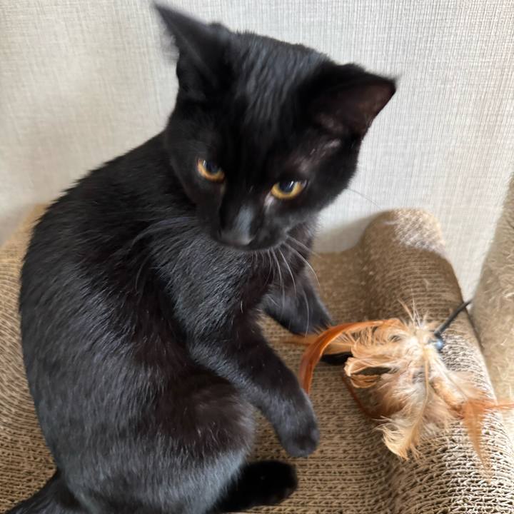 19aa019d 9fda 4525 a184 bbe592aabd64 1732665758242