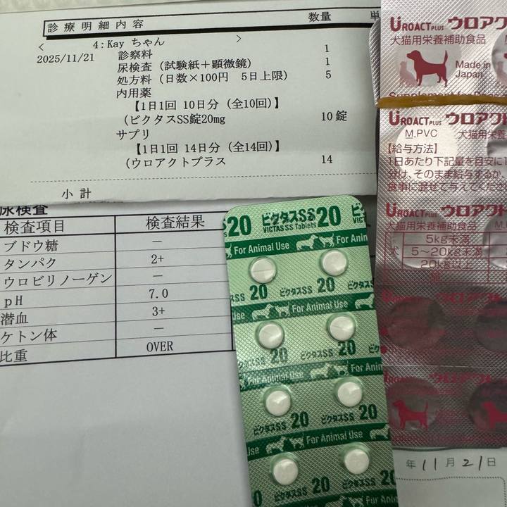 19aa386d 61c1 4a02 8896 6bd707770966 1763717913152