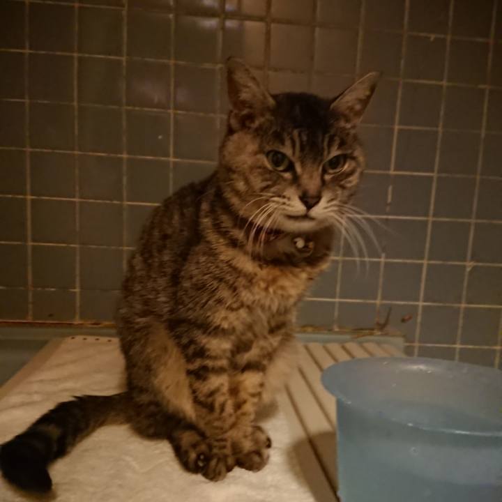 19aa48b3 429d 498b 9e42 6f9b3d530666 1584956616384