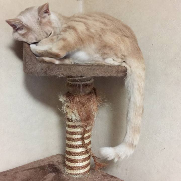 19aaf0de cfa9 45cc 8ead bcc3e750bb62 1538651437175