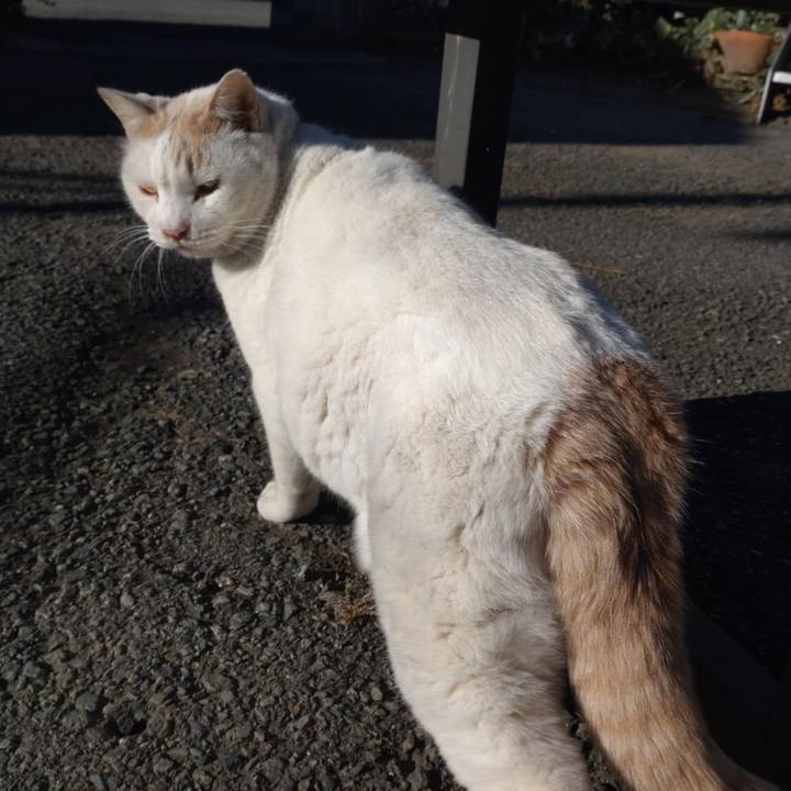 19ab1820 d971 4023 8e59 918b0b5f394b 1764900048779