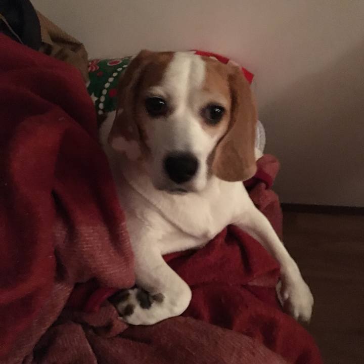 19ab2825 d4a8 4ac6 9ac8 c76064c0870f 1527414422446