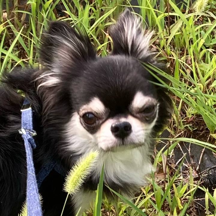 19ab5256 5c47 4e92 a869 0680afa7292e 1660991506540