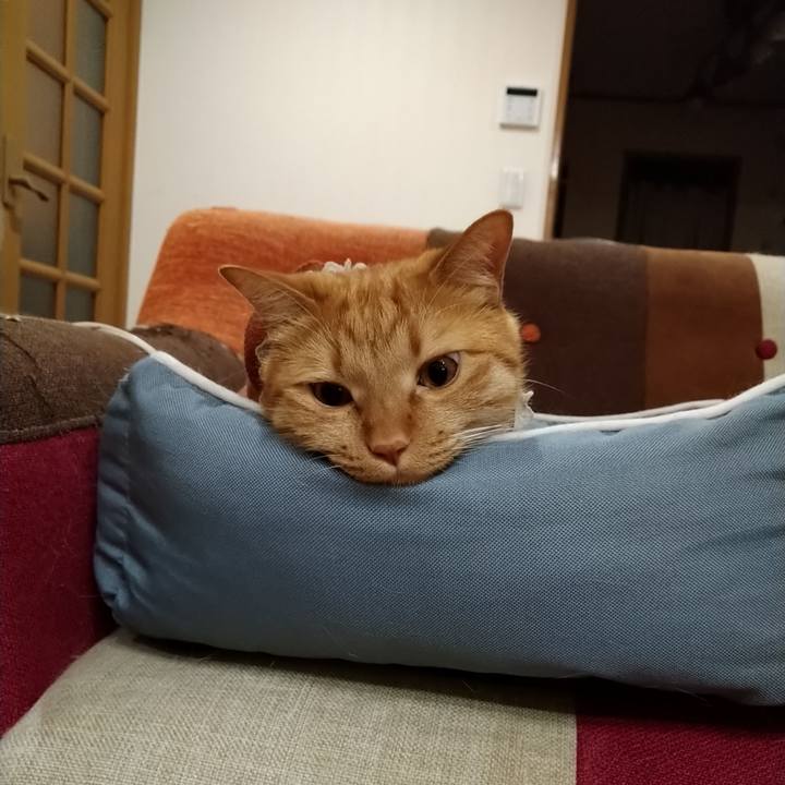 19ab8c26 3a8e 464f b0fe 6b52b93835a3 1613631549274