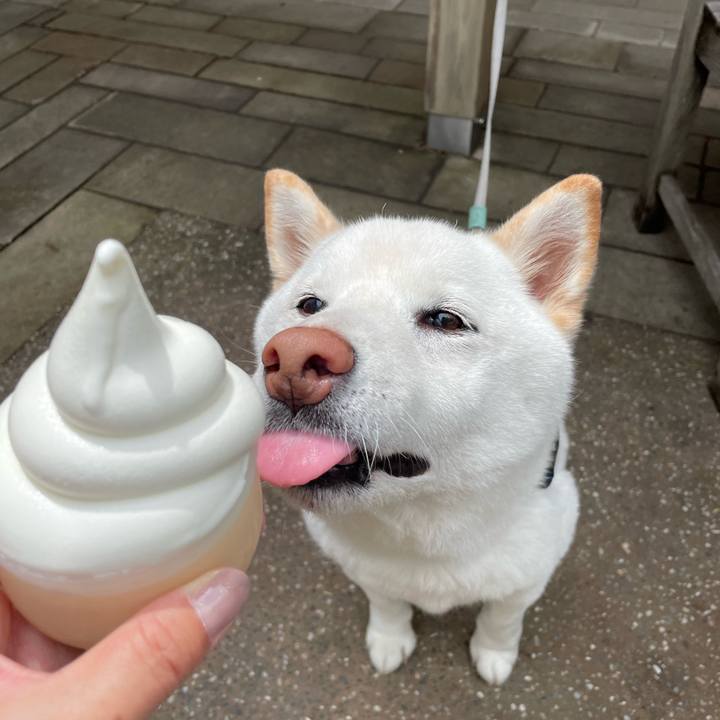 19ab98db bc3b 47bc b63b e3f79a00eaa2 1652520157049