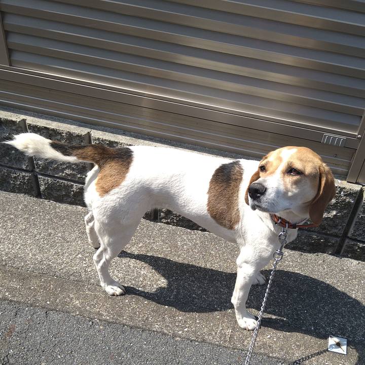 19abc94c 70bb 444a 9dc0 a1412aad2502 1623130432764