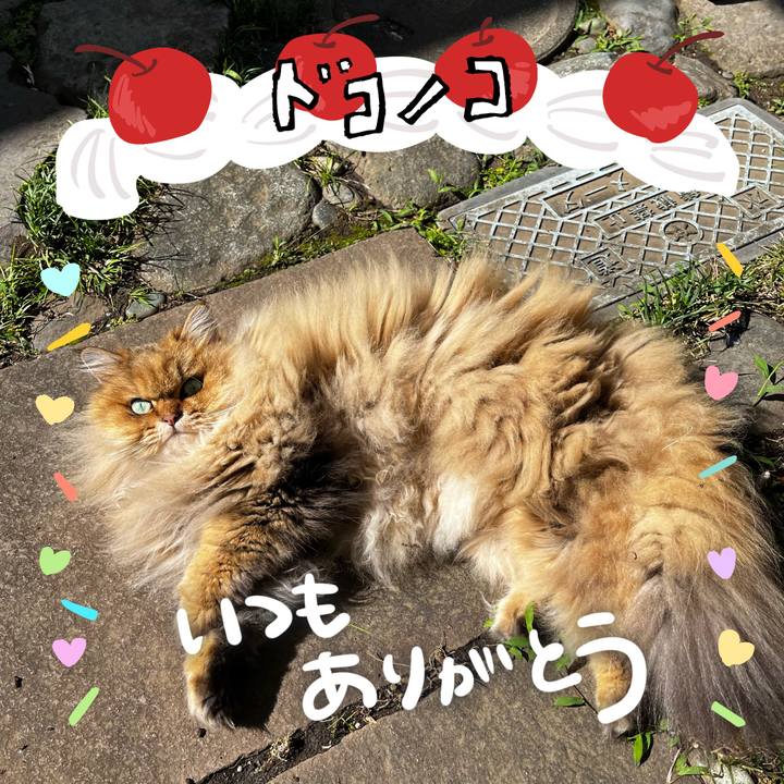 19abd3f7 1dfb 4547 9fd5 195027757272 1685961675875