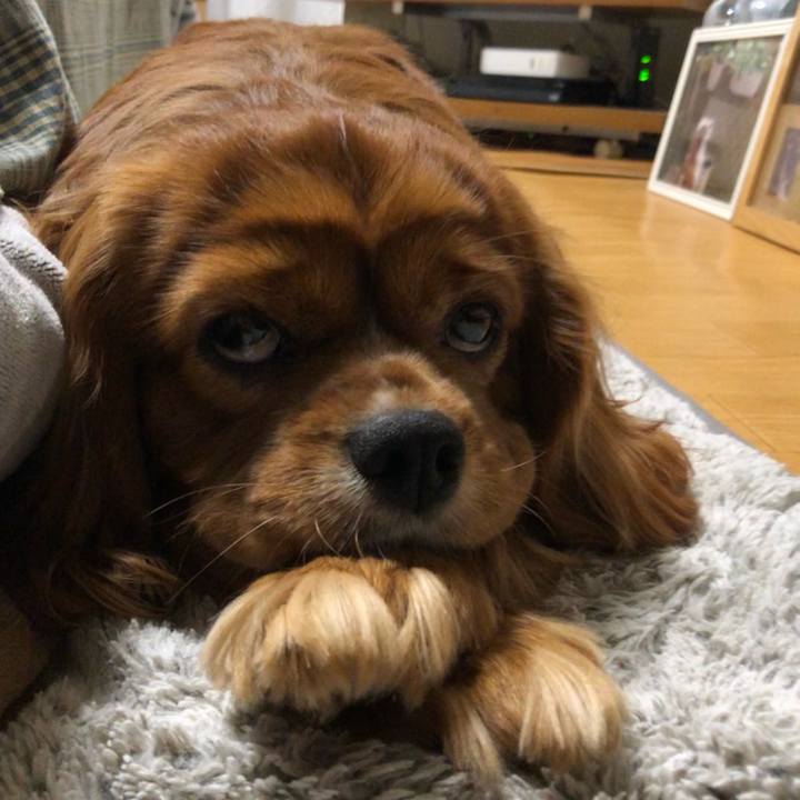 19abda62 04f1 4a6d a971 4992a030b7d4 1611786419547