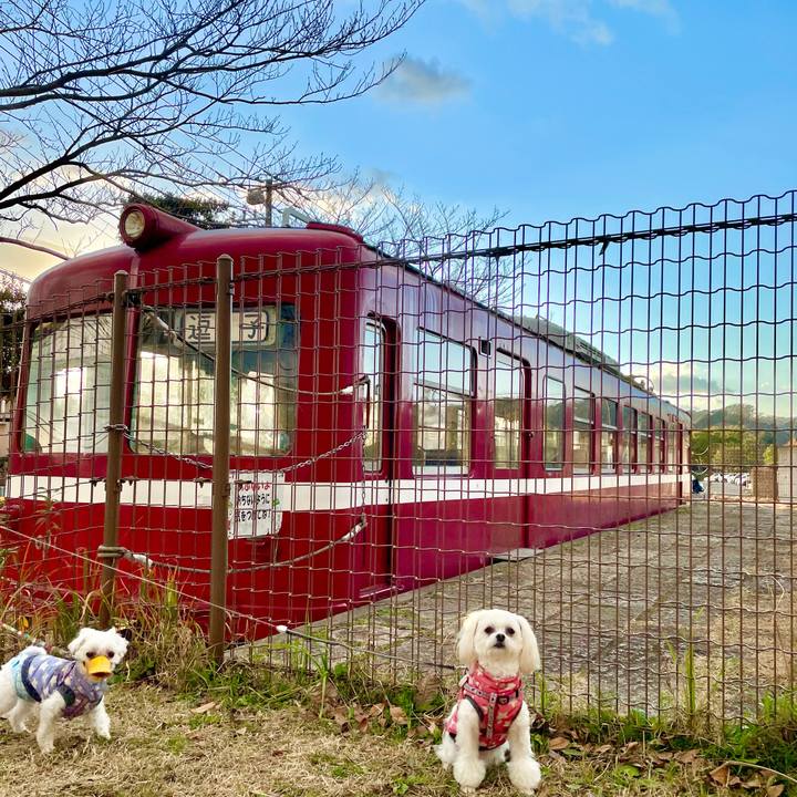 19abe39c 1c1c 4fa0 a3bc 9a7684c3f44f 1640761825691