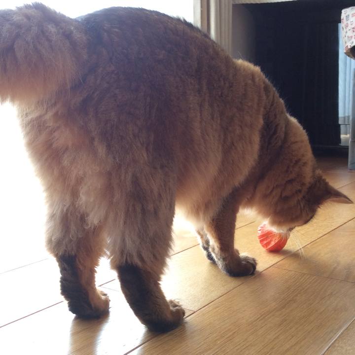 19ac116f 1ed8 4b82 bbd4 da67857576ed 1596533341022